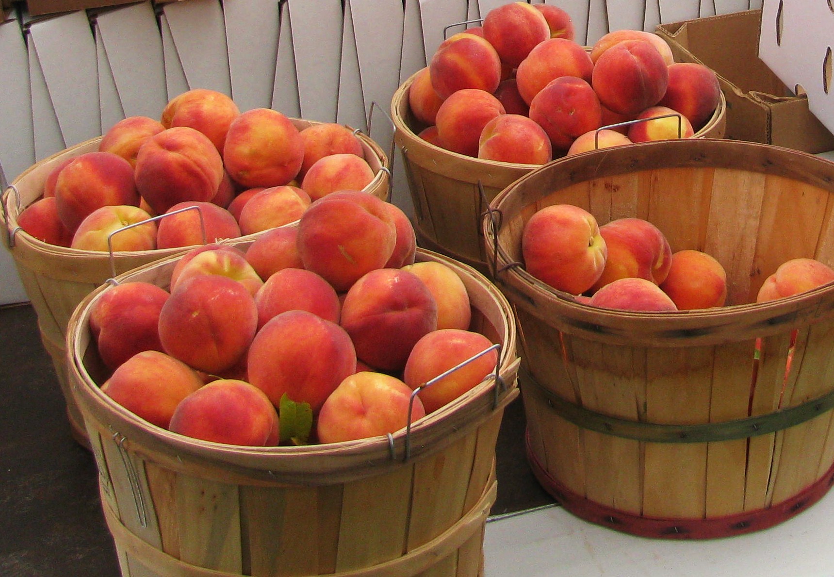 saims-fruit-palisade-peaches