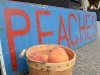 saims-fruit-peach-sign