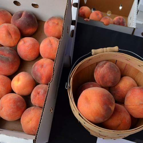 Palisade Peaches: Delicious Colorado History